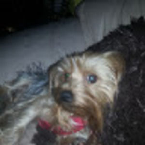 Meet your Posher, Rachel